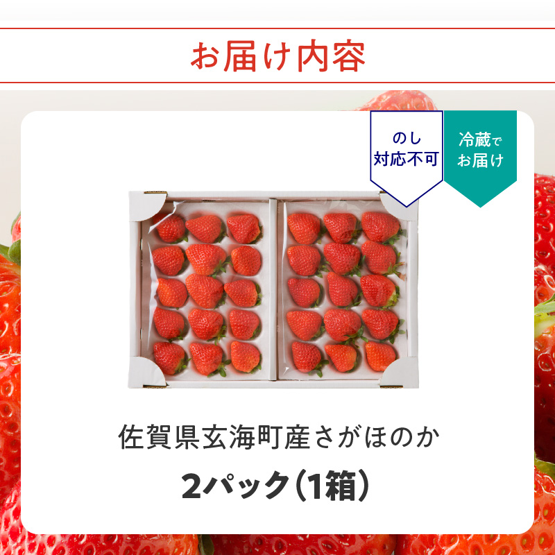 ★予約受付★渡邉農園 佐賀県玄海町産さがほのか（2026年1月～4月中にお届け） 1箱（2パック）