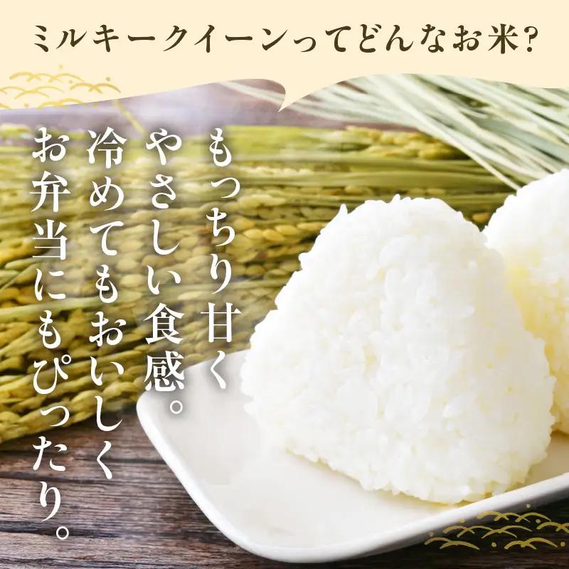 【令和8年度産】東浦町産　ミルキークイーン 5kg│米  新米 おこめ 精米 直送 鈴木農産 愛知県