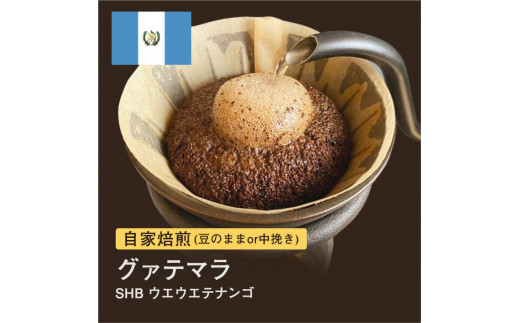 
            ※受付終了※#004 グァテマラ SHB ウエウエテナンゴ コーヒー豆 310g 自家焙煎 大山珈琲（豆または粉から選択）
          