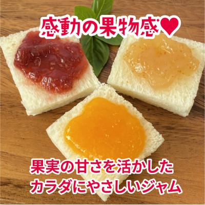 ふるさと納税 岡崎市 葵ピクルス「あいちの家康」250gびん1本&葵ジャム140g3種セット |  | 02