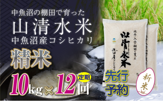 
                  【令和8年産 先行予約】【定期便／全12回】精米10kg 新潟県魚沼産コシヒカリ「山清水米」
                