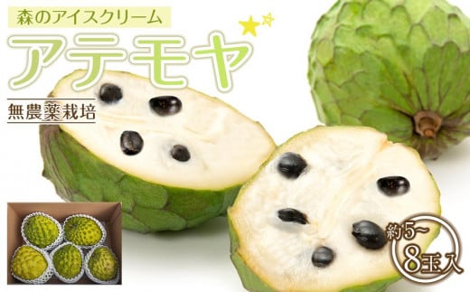 
                  【先行予約】※数量限定　農薬未使用　森のアイスクリーム　アテモヤ2kg～2.4kg（凡そ5玉～8玉）
                