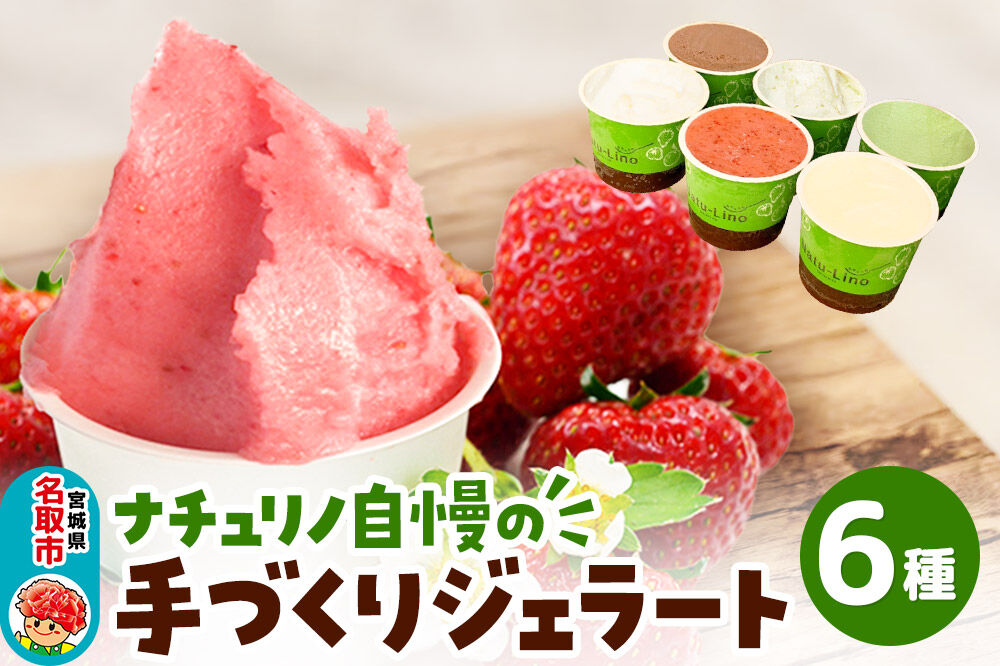 ナチュリノ自慢の手づくりジェラート 6種 自然派 人気店 Gelateria Natu-Lino natulino [ジェラート アイスクリーム スイーツ フルーツ カップ]