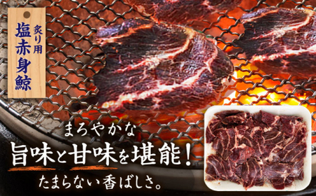 【旨味たっぷり】鯨2種 600g（塩赤身鯨ハラミ浅漬け 300g 塩鯨炙り用脂筋肉 300g)  [DBM011]  赤身