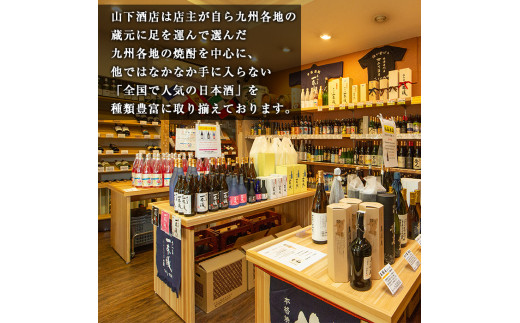 B-074 さつま一本儀・さつま一本儀黒二種セット(大)【山下酒店】
