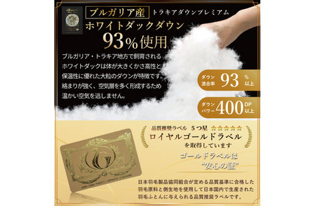 羽毛布団 シングル 冬用 本掛け 80番手サテン 青系 柄 ｜