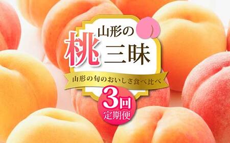 《2026年 先行予約》 山形の旬のおいしさ食べ比べ 山形の桃三昧 3回定期便 桃 果物 フルーツ FSY-2471
