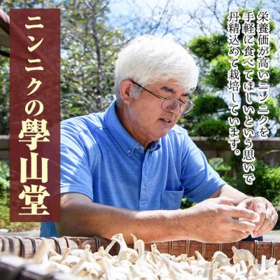 ふるさと納税 肝付町 【先行受付】5月中旬以降順次発送予定!學山堂のにんにく(計1.2kg)国産 にんにく　A69001 |  | 01