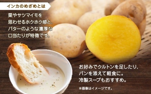 北海道インカのめざめポタージュ 3袋×4箱 12食入り【otaru012】