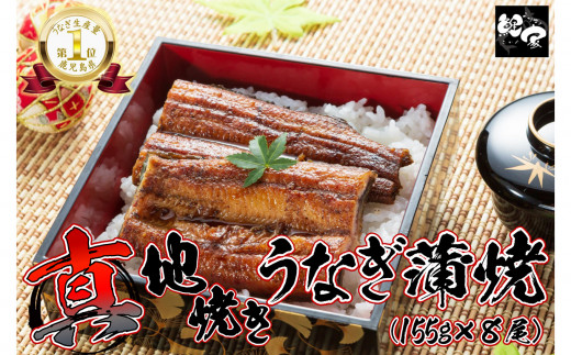 
1712-1 大人気！鯉家の絶品蒲焼「真地(マジ)焼きうなぎ蒲焼1,240g(８尾)」【国産・手焼き備長炭】
