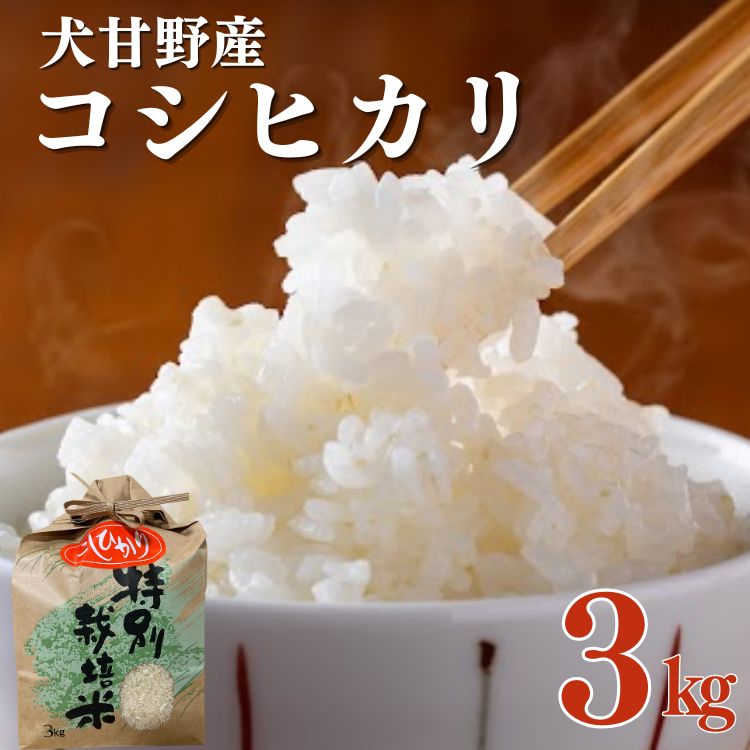 【ふるさと納税】令和7年産 コシヒカリ 米 3kg 特別栽培米 京都 丹波 亀岡 犬甘野産 白米 産地直送 人気 お米 コメ こめ こしひかり 減農薬 送料無料