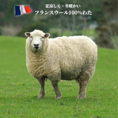 ふるさと納税 泉大津市 【ダブル】フランスウール100%羊毛わたベッドパッド(140×200cm) W100BP-D |  | 03