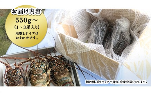 梱包例。袋とラップで巻き、冷凍発送いたします。