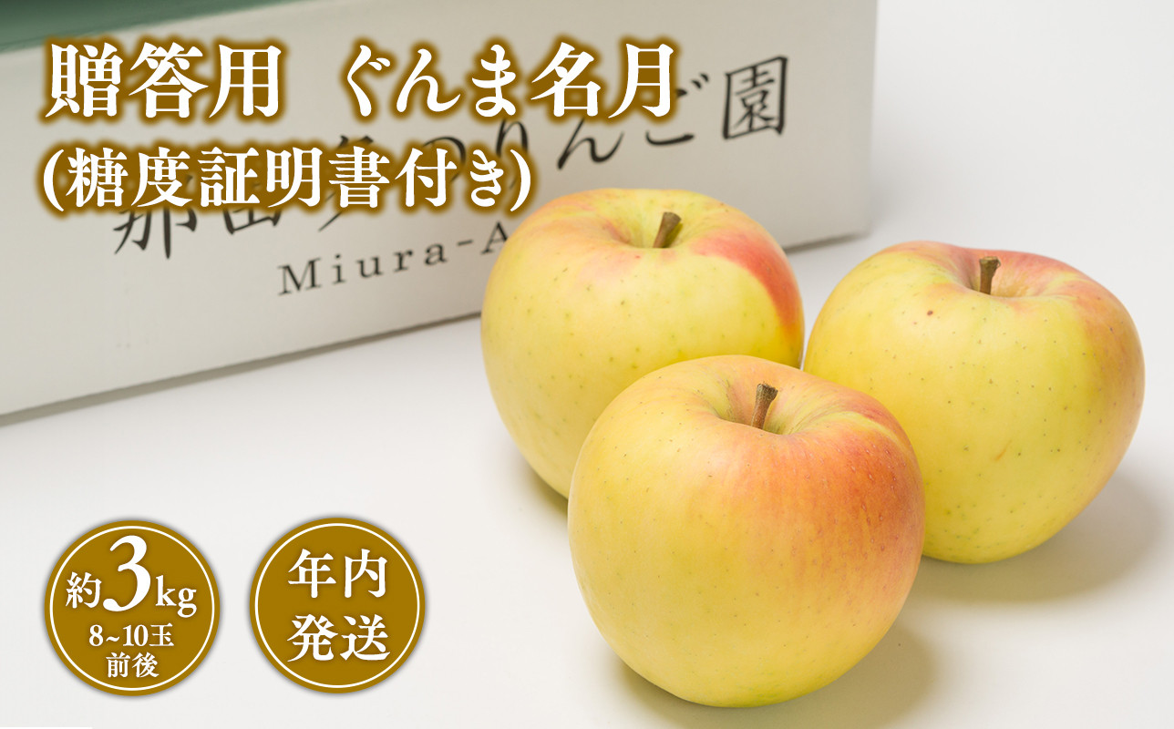 
年内発送 贈答用ぐんま名月約3kg（糖度証明書付き） 【那由多のりんご園・平川市産】
