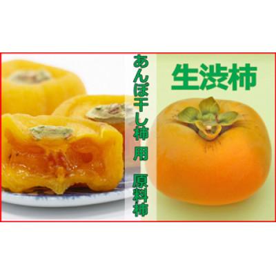 ふるさと納税 かつらぎ町 あんぽ柿 干し柿用平核無柿生渋柿 約1.5〜2kg 約6〜12個【10月下旬〜11月上旬発送予定】
