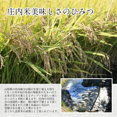 ふるさと納税 酒田市 令和7年産 つや姫5kg・雪若丸5kg 農産物検査員おすすめの庄内米2種 |  | 02