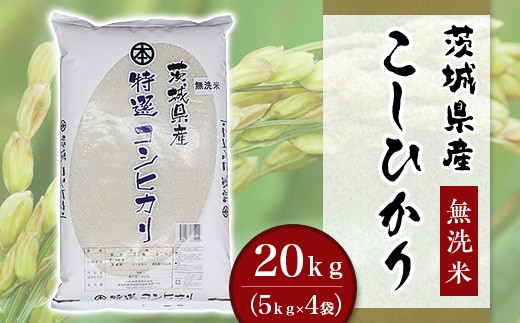 
                  こしひかり 無洗米 20kg 茨城県産 令和7年産【小松崎商事】728
                