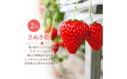 フルーツ 定期便 4回 桃 キウイ みかん いちご デコポン シャインマスカット ゴールドキウイ 苺 もも 詰め合わせ セット 柑橘 果物 さぬきひめ さぬきゴールド 朝食 おやつ デザート アイス 