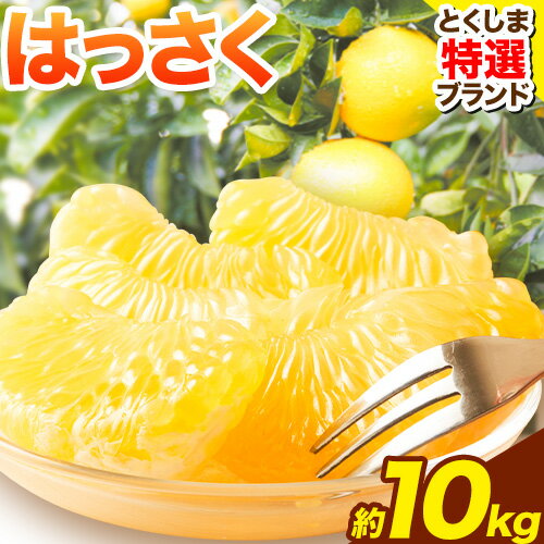【ふるさと納税】＜ 先行予約 ＞ 八朔 はっさく 約10kg 仕出原八朔生産組合《2026年2月上旬‐2026月3月上旬頃出荷》| とくしま特選ブランド 徳島県 美馬市