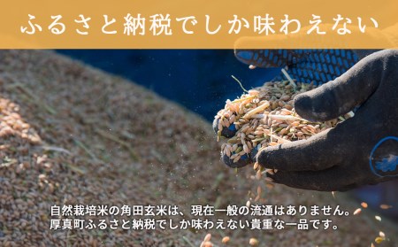 0016 ＜令和6年産新米＞究極の自然栽培米「角田玄米」 5kg