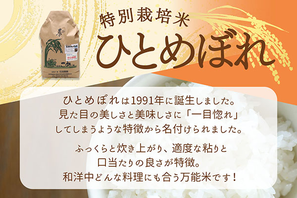 【新米受付】令和8年産 特別栽培米 ひとめぼれ 10kg 石垣農園 5kg×2袋 2026年産 ブランド米 米 国産 単一原料米 山形 庄内平野 コシヒカリの原点、亀の尾発祥の地 庄内【R8.10月以