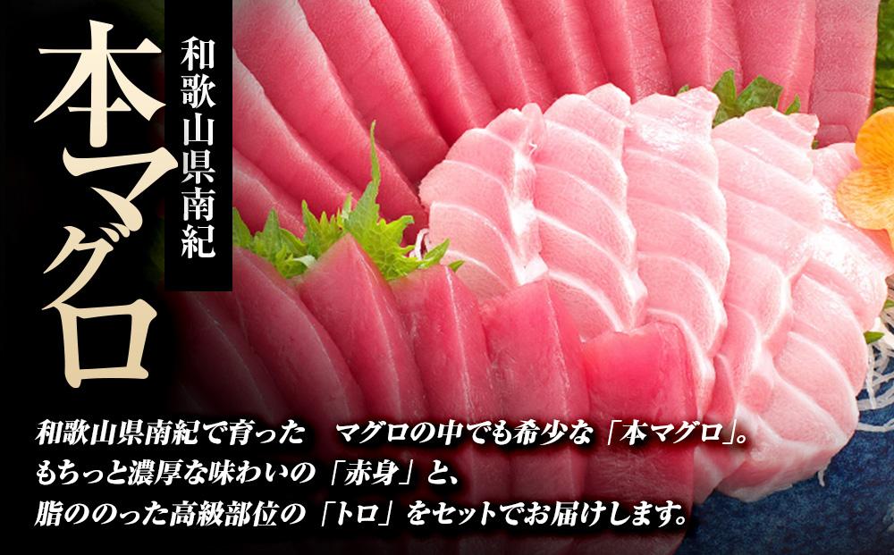 プレミア和歌山認証品 本マグロ（養殖）トロ＆赤身セット　3kg［KS14］