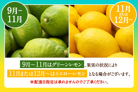 AA079.貴重な国産レモン.約5kg.新宮町産の逸品です／2026年9月～2027年2月発送予定