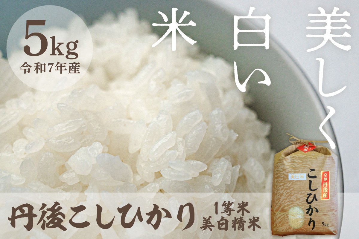 
                  令和7年産 美白精米 丹後こしひかり 5kg 1等米　京都産 京丹後産 コシヒカリ こしひかり 美白精米 美白米 精米 米 こめ コメ 1等米 R7 ご飯 ごはん 白飯 白米 ふるさと納税 京丹後 丹後　MU00075～MU00075_03
                