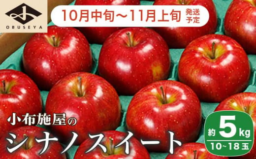 シナノスイート 約5kg 10～18玉 ［小布施屋］りんご 林檎 リンゴ  果物 フルーツ 令和6年産【2024年10月中旬～11月上旬発送】 ［A-207］