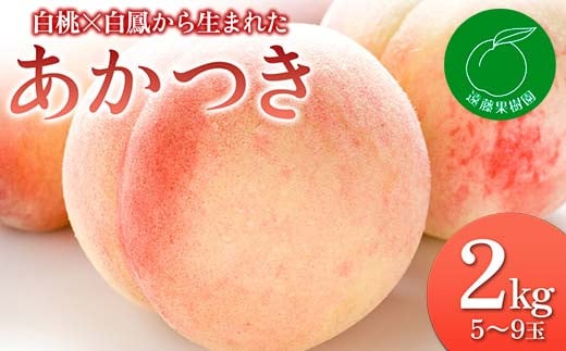 福島県産 あかつき 2kg 2025年7月下旬～2025年8月上旬発送 2025年出荷分 先行予約 予約 伊達の桃 桃 もも モモ 果物 くだもの フルーツ 名産品 国産 食品 F20C-829