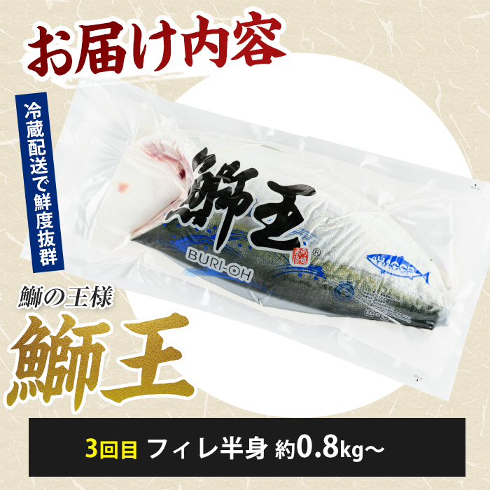 ＜定期便・毎月発送 全3回＞「鰤王」づくし 満喫定期便 鹿児島県 長島町 産産地直送 新鮮 ブランド ぶり 鰤 ブリ 切り身 刺身 ぶりしゃぶ しゃぶしゃぶ 魚 魚介 人気 ランキング【JFA】jfa
