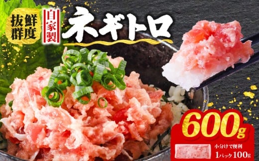 【2月発送】ネギトロ 600g ( 100g×6パック ) 冷凍 小分け | 手作り まぐろ 鮪 手詰め ネギトロ ねぎとろ まぐろたたき まぐろのたたき マグロたたき ネギとろ ねぎトロ maguro 愛媛県 松山市