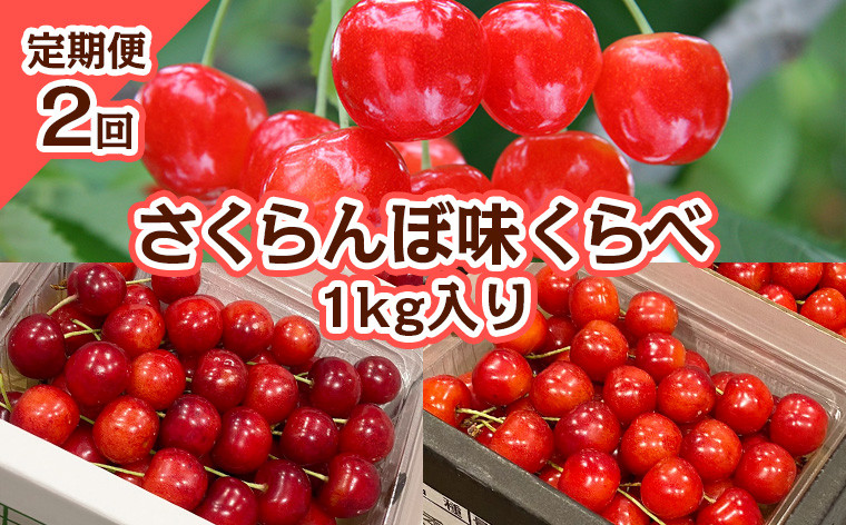 
            【定期便2回】さくらんぼ 味くらべ 1kg入り 【令和7年産先行予約】FS23-866 くだもの 果物 フルーツ 山形 山形県 山形市 2025年産
          