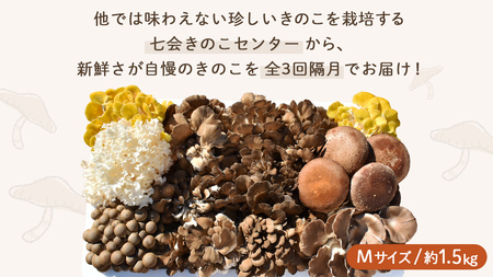 《 全３回 隔月定期便 》 きのこ の 詰め合わせ Mサイズ 約1.5kg （茨城県共通返礼品 城里町） 定期便 キノコ 舞茸 あわび茸 たもぎ茸 しいたけ 花びら茸 セット 鍋 炒め物 [CX009