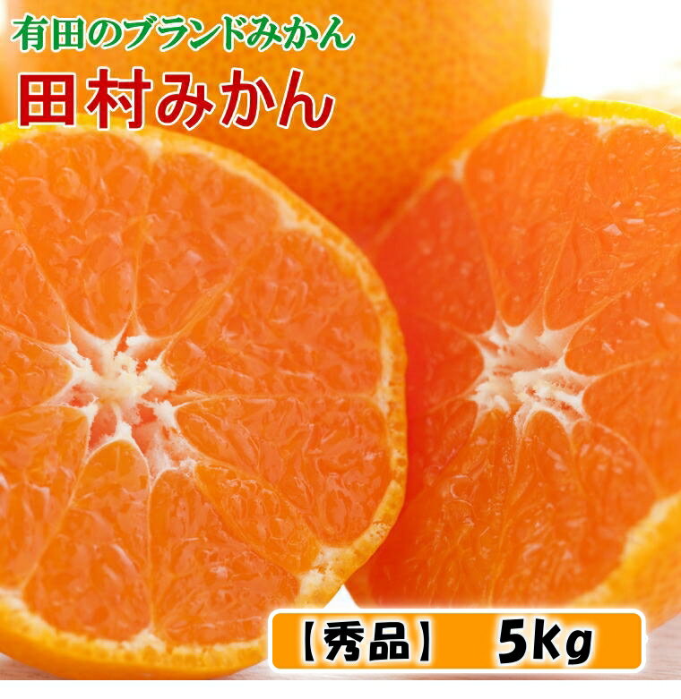 【ふるさと納税】 田村 みかん 【ブランドみかん】 約 5kg (秀品) / 蜜柑 柑橘 甘い 和歌山 湯浅町産 ※11月下旬～12月下旬頃に順次発送予定