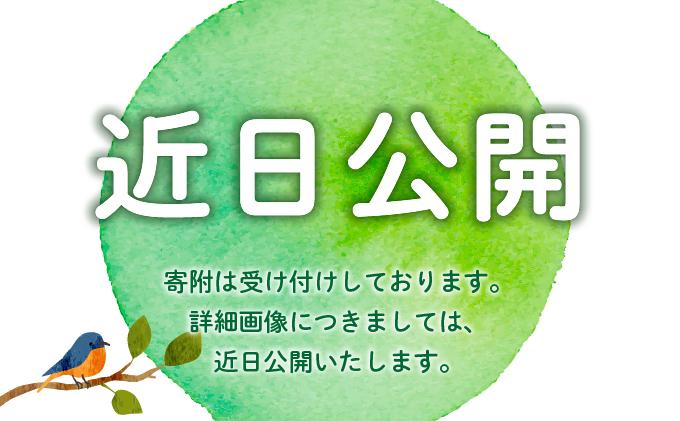 【先行予約】福岡産 冷凍 あまおう 1kg（2026年4月以降発送）