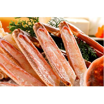 ふるさと納税 京丹後市 北畿水産の【1月〜3月順次発送予定】【山陰活〆松葉がに夫婦セット せこがに甲羅盛り付き】 |  | 03