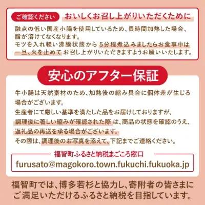 Z61-02 博多若杉 【訳あり】牛もつ鍋セット(2人前×2)  4人前 もつ鍋