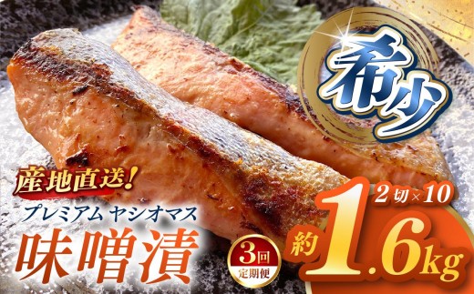 【定期便3回】「プレミアムヤシオマス」の味噌漬 2切入×10パック  [ 冷凍便 ] | 魚 ます 養殖 産地直送 栃木県 (毎月お届け）