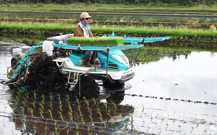 この土地で代々農業に励んでいます