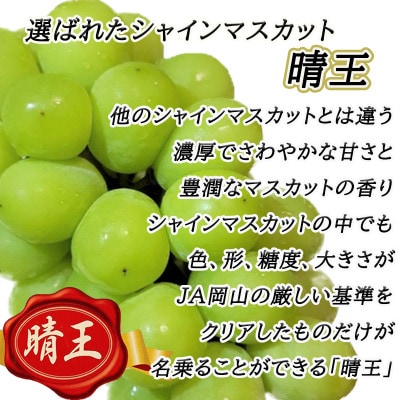 【2026年8月下旬以降順次発送】岡山名産【晴王】シャインマスカット1房約650g秀品!【配送不可地域：離島】