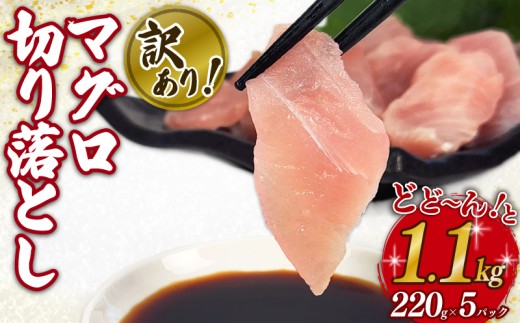 訳あり マグロ 鮪 切り落とし 1.1kg 220g × 5 パック 外湾漁業協同組合 国産マグロ 天然マグロ ビンチョウ キハダ メバチ クロ 刺身 刺し身 簡易包装 わけあり 魚 魚介 国産 天然 三重 南伊勢町 伊勢 志摩 1万円 10000円