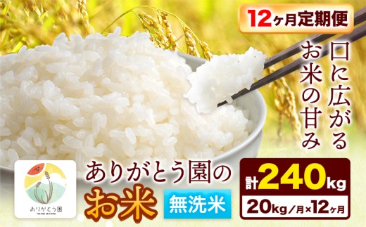【12ヶ月定期便】令和7年産 米 岡山県産 ありがとう園のお米 無洗米 20kg ありがとう園《お申込み月の翌月から出荷開始》岡山県 矢掛町 無洗米 米 コメ 定期便 定期 st-p
