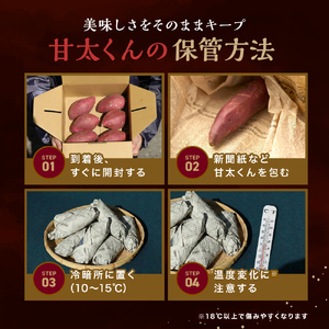 大分県産かんしょ さつまいも 甘太くん 約1.5kg M/L 丸型 | 芋 紅はるか 焼き芋 おやつ 大分県 中津市