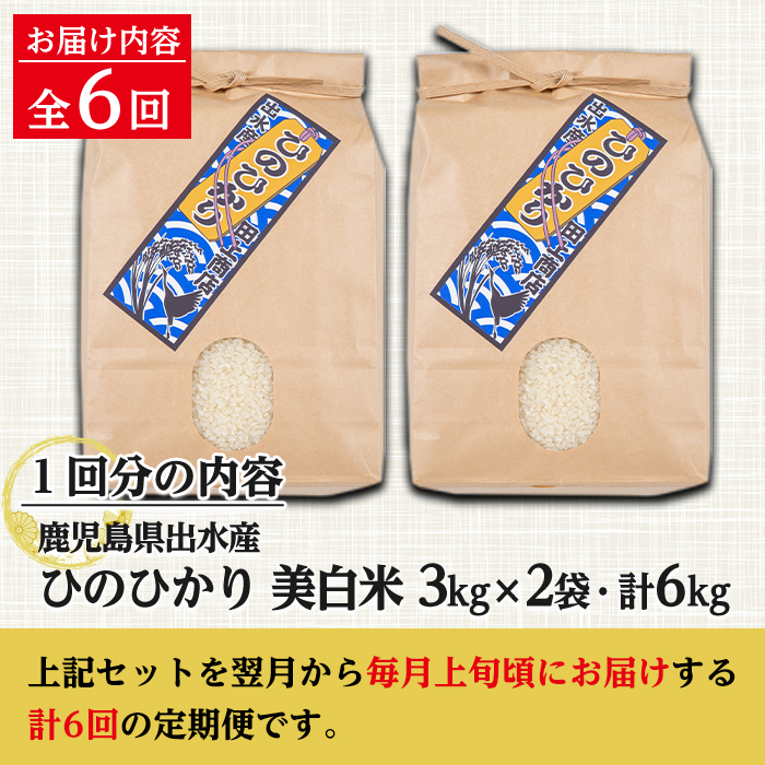 i543 ＜定期便・計6回(連続)＞鹿児島県出水市産ひのひかり美白米＜(3kg×2袋・計6kg)×全6回＞ 米 6kg 計36kg お米 白米 ヒノヒカリ 美白米 定期便 自家脱穀 自家精米 精米 おにぎり ごはん お米マイスター 厳選 【田上商店】