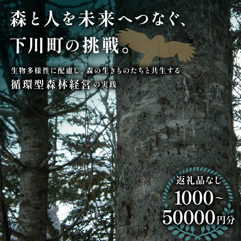 【ふるさと納税】【返礼品なし】選べる寄付額 森と人を未来へつなぐ、下川町の挑戦（1000円～10000円分） 森林 森 環境保全 森林保全 未来 動物 F4G-0329var