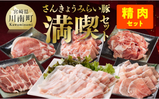 【いろんな料理にアレンジできちゃう満喫コース】令和7年4月発送分　さんきょうみらい豚満喫セット（精肉） 【 満喫 セット 精肉 豚肉 宮崎県産 川南町産 バラ 肩ロース ウデ モモ しゃぶしゃぶ スライス 】