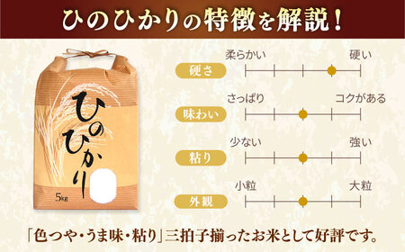 【先行予約】佐賀県産米（ひのひかり）5kg 玄米 / 玄米 玄米 玄米 玄米 玄米 玄米 玄米 / 佐賀県 / 一般社団法人 龍乃 [41ANAC104]