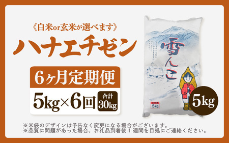 【先行予約】【令和7年産・新米】定期便 ≪6ヶ月連続お届け≫ ハナエチゼン 5kg × 6回（合計30kg）【玄米】【10月中旬前後より順次発送予定】【お米 こめ はなえちぜん 華越前 人気品種 ブラ