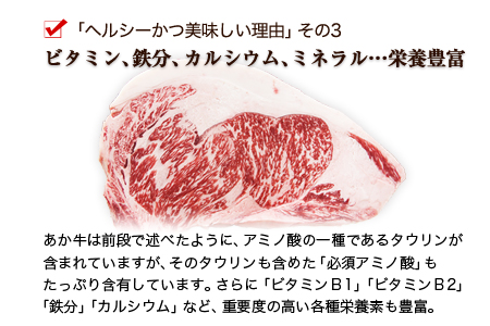 熊本県産 黒豚(肩ロース・ロース)手造りみそ豚 約100g×10枚 肉のみやべ《90日以内に出荷予定(土日祝除く)》